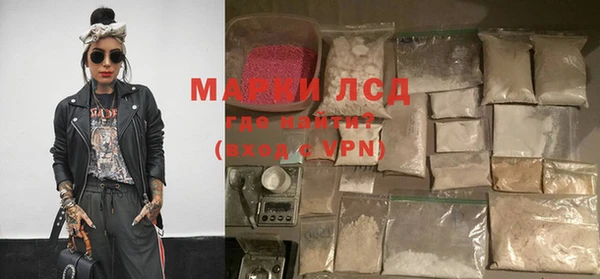 спиды Магас
