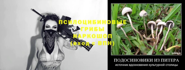 спиды Магас