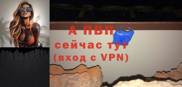 спиды Магас