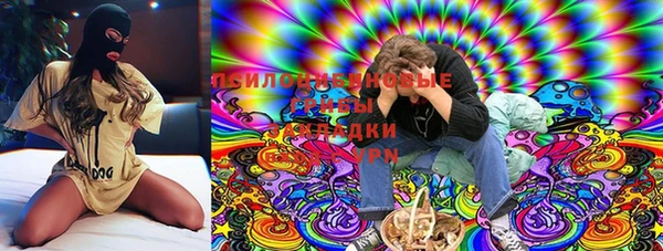 спиды Магас