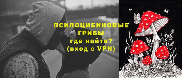каннабис Майский