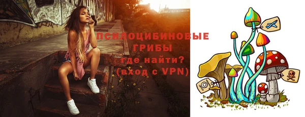 спиды Магас