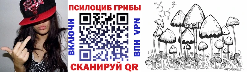 Купить где  Новая Усмань  Галлюциногенные грибы Psilocybe 